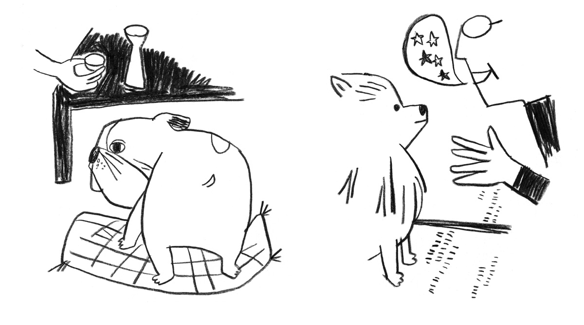 愛犬幸福論イラスト