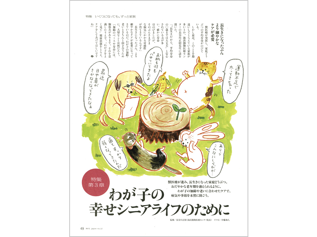 PAFE japonイラスト