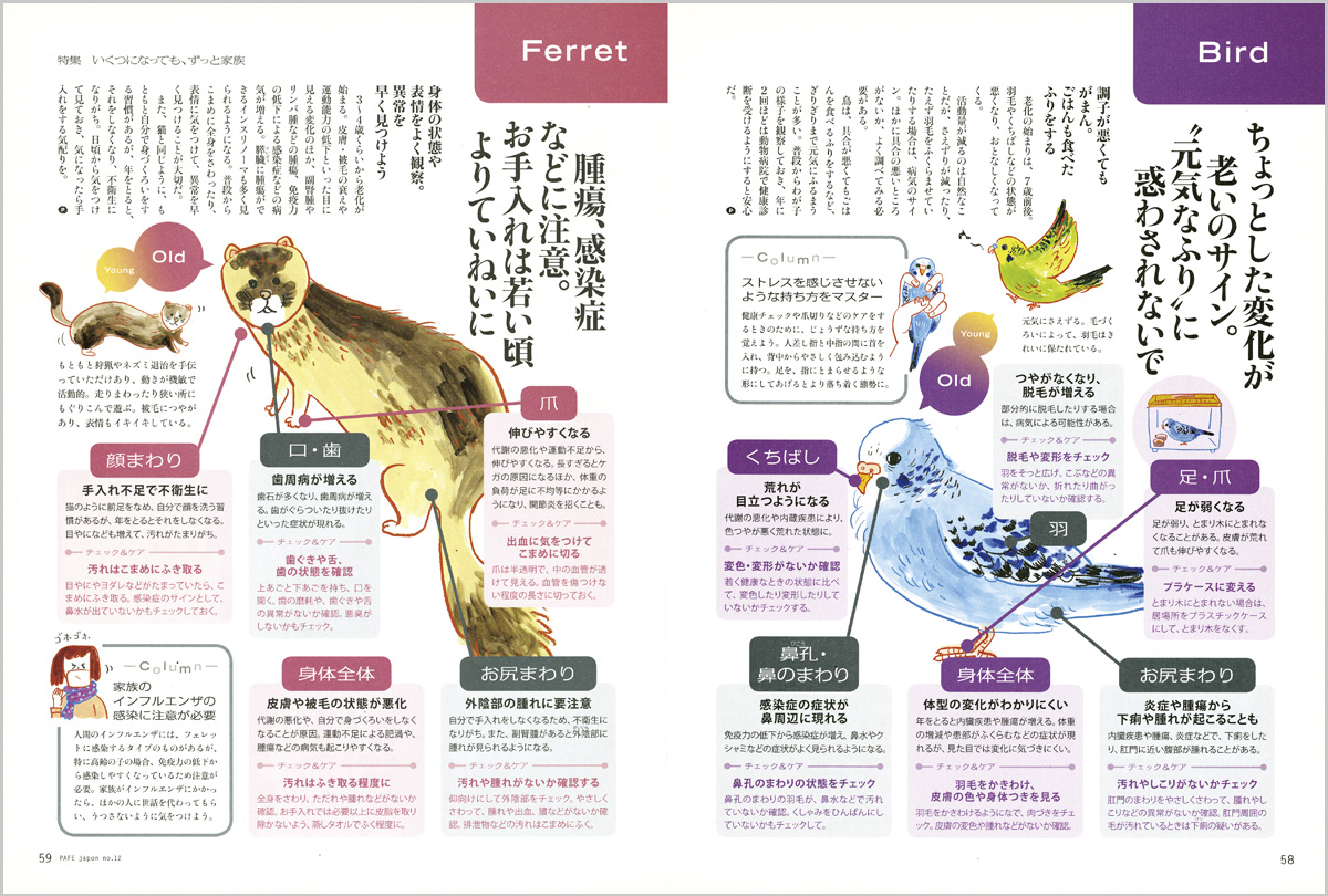 PAFE japonイラスト