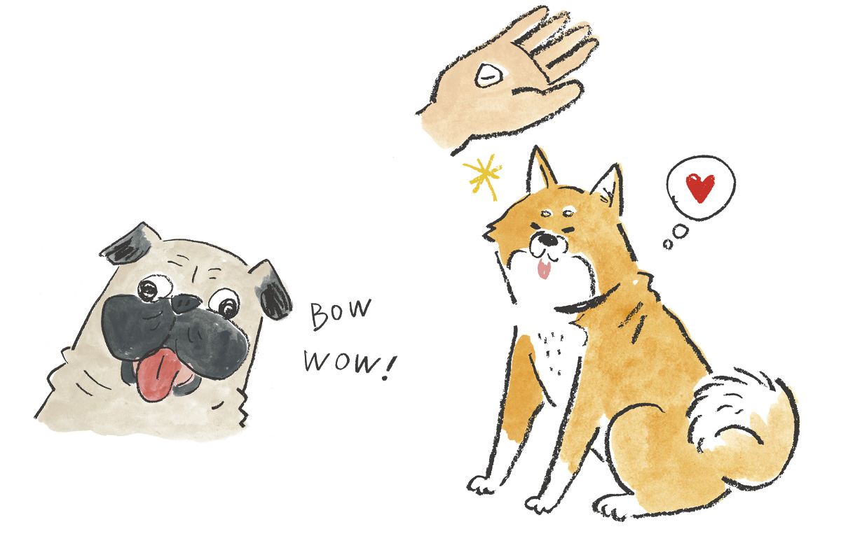 いぬのきもち