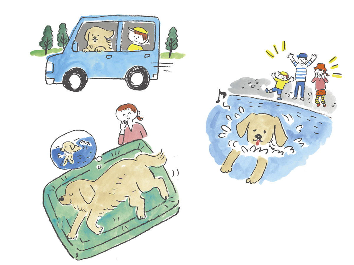 RETRIEVER