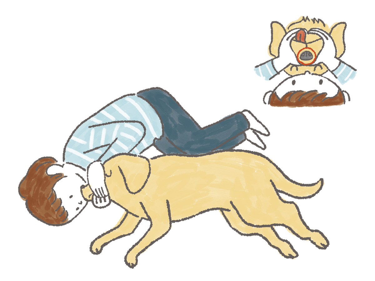RETRIEVER