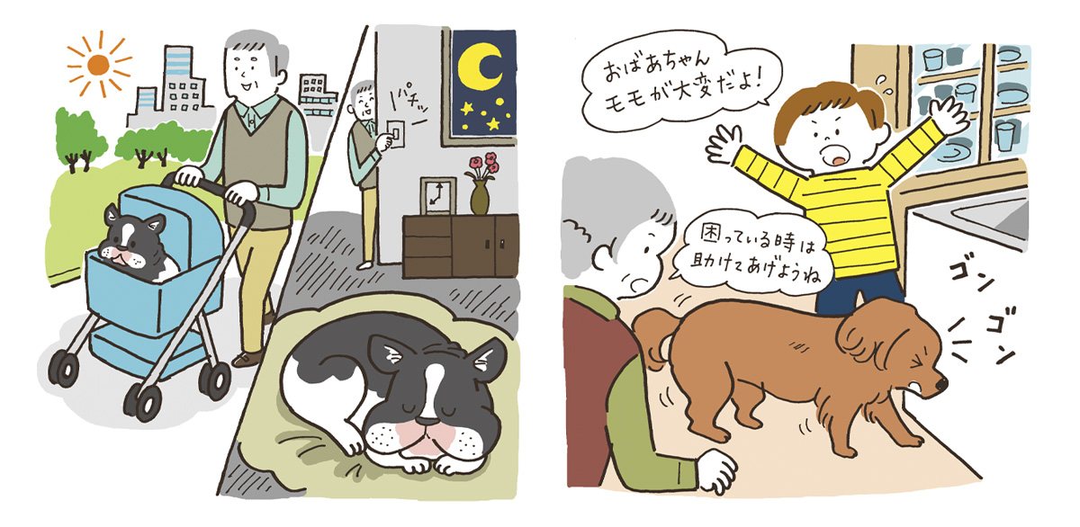 「ペットの老老介護を無理なく乗り切るために」