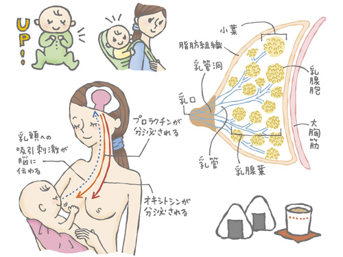 『ひよこクラブ』