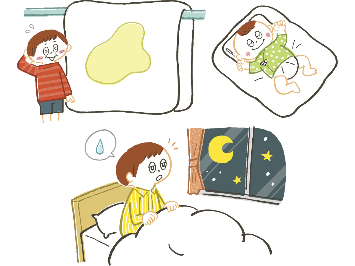 ふしぎの図鑑イラスト
