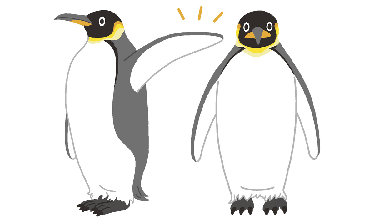 すてっぷタッチイラスト