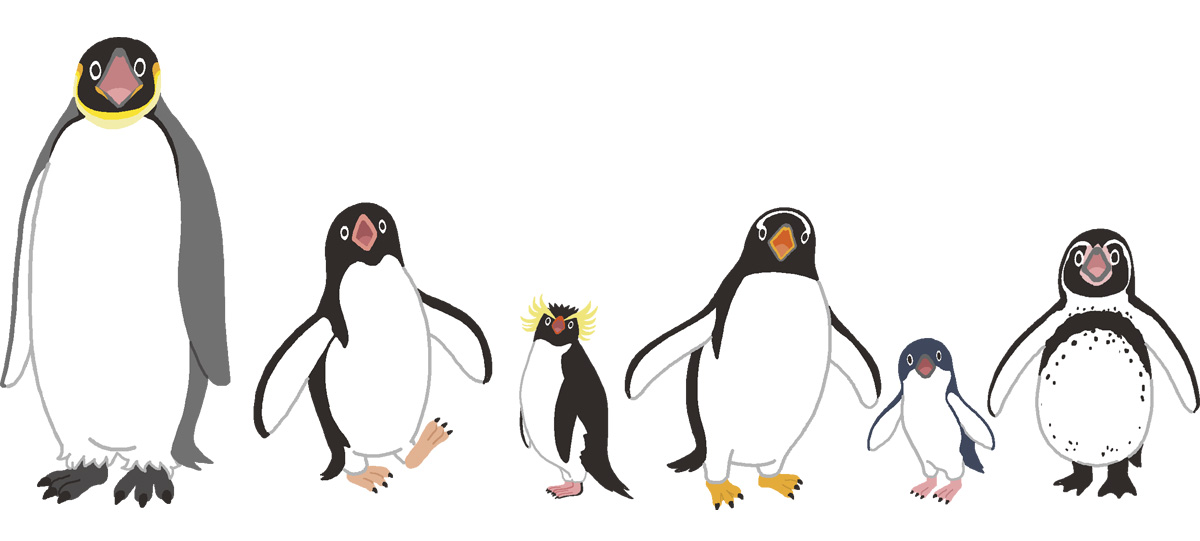 すてっぷタッチイラスト