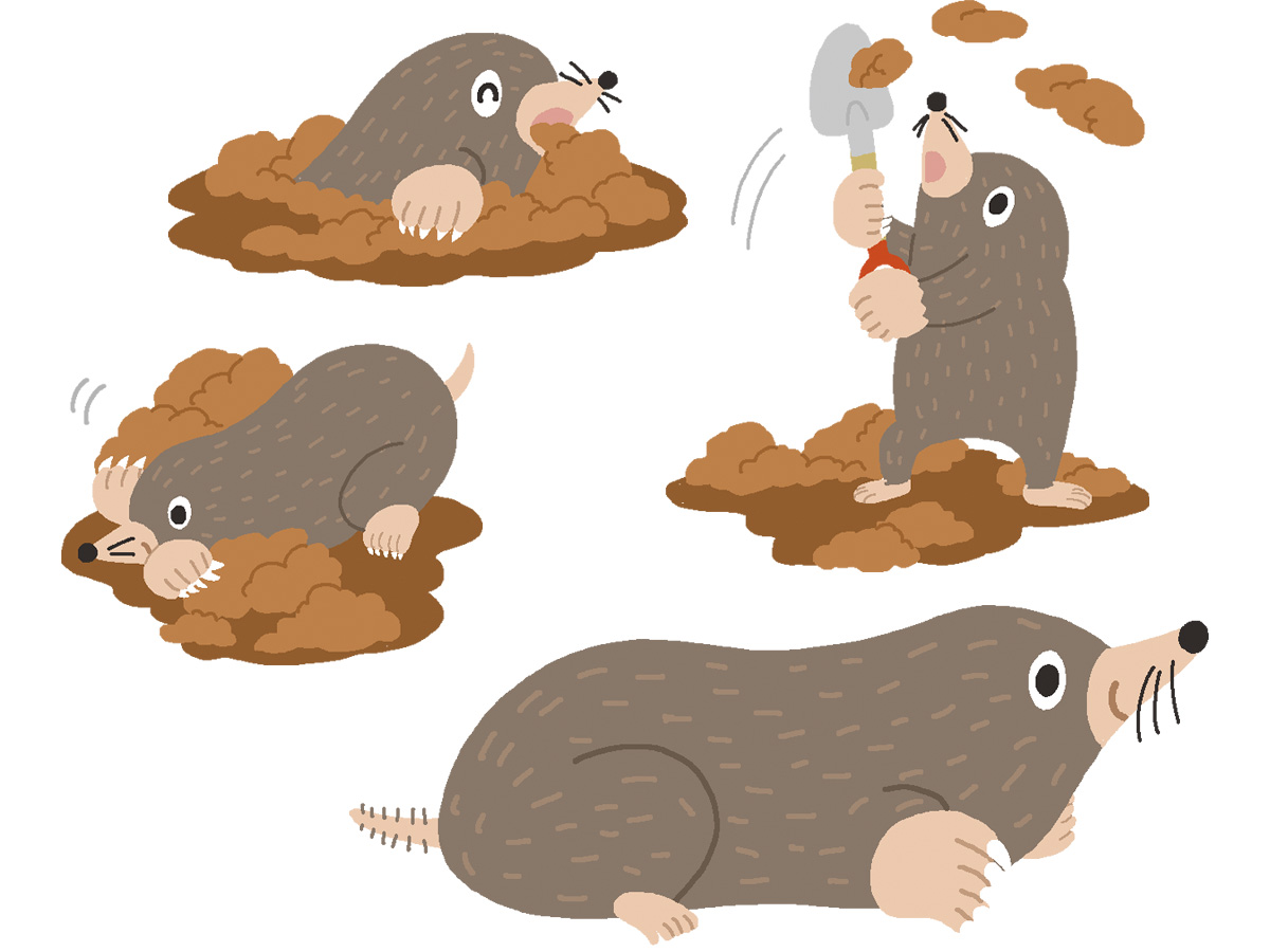 すてっぷタッチイラスト