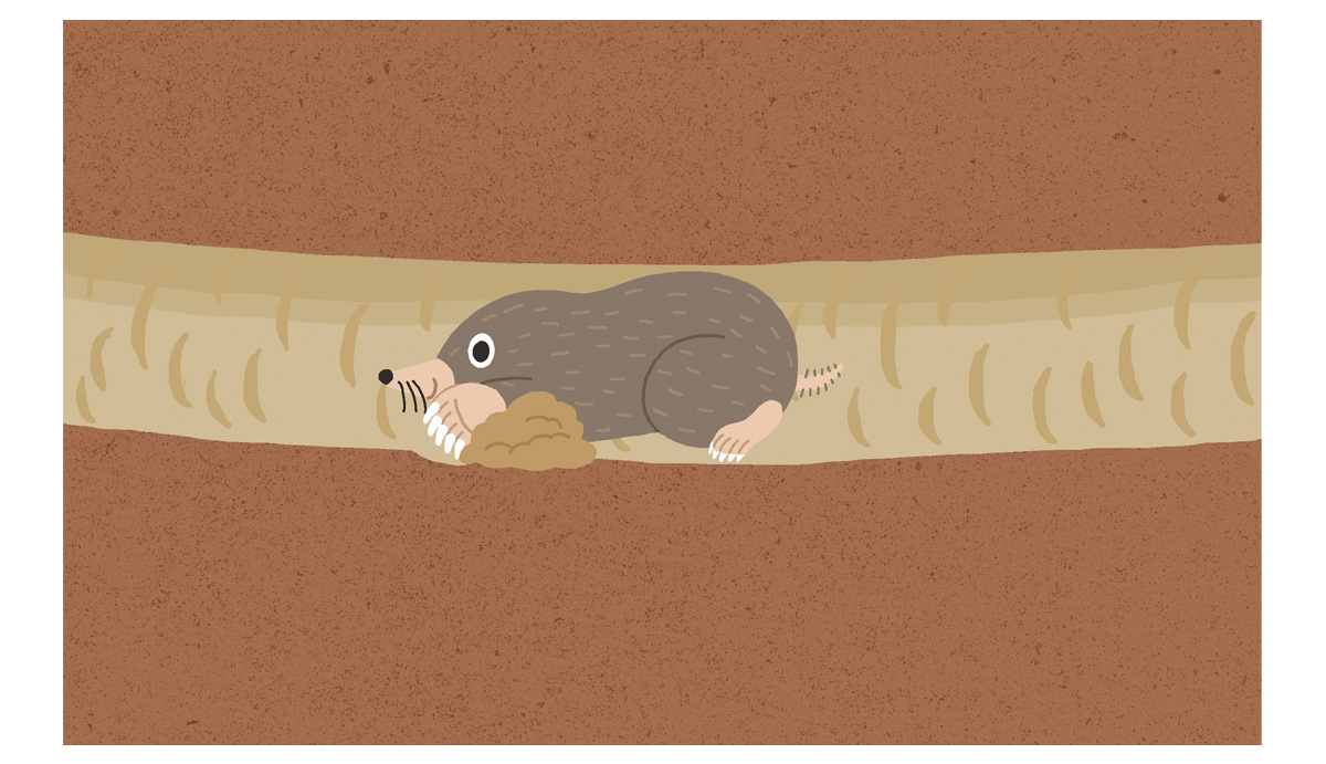 すてっぷタッチイラスト