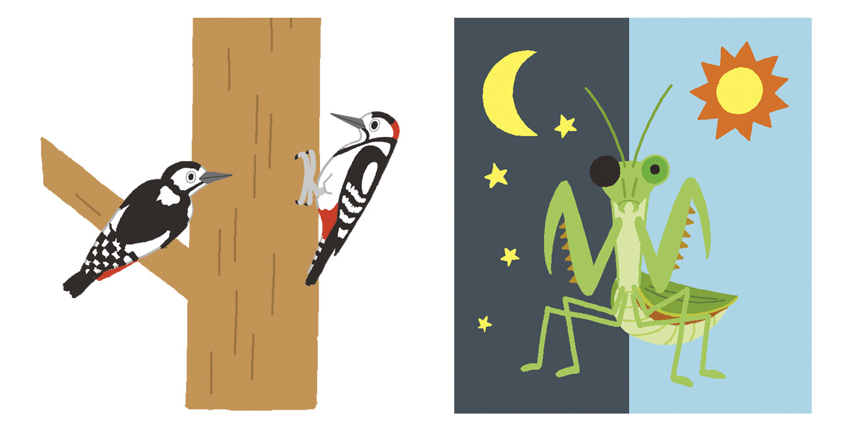すてっぷタッチイラスト